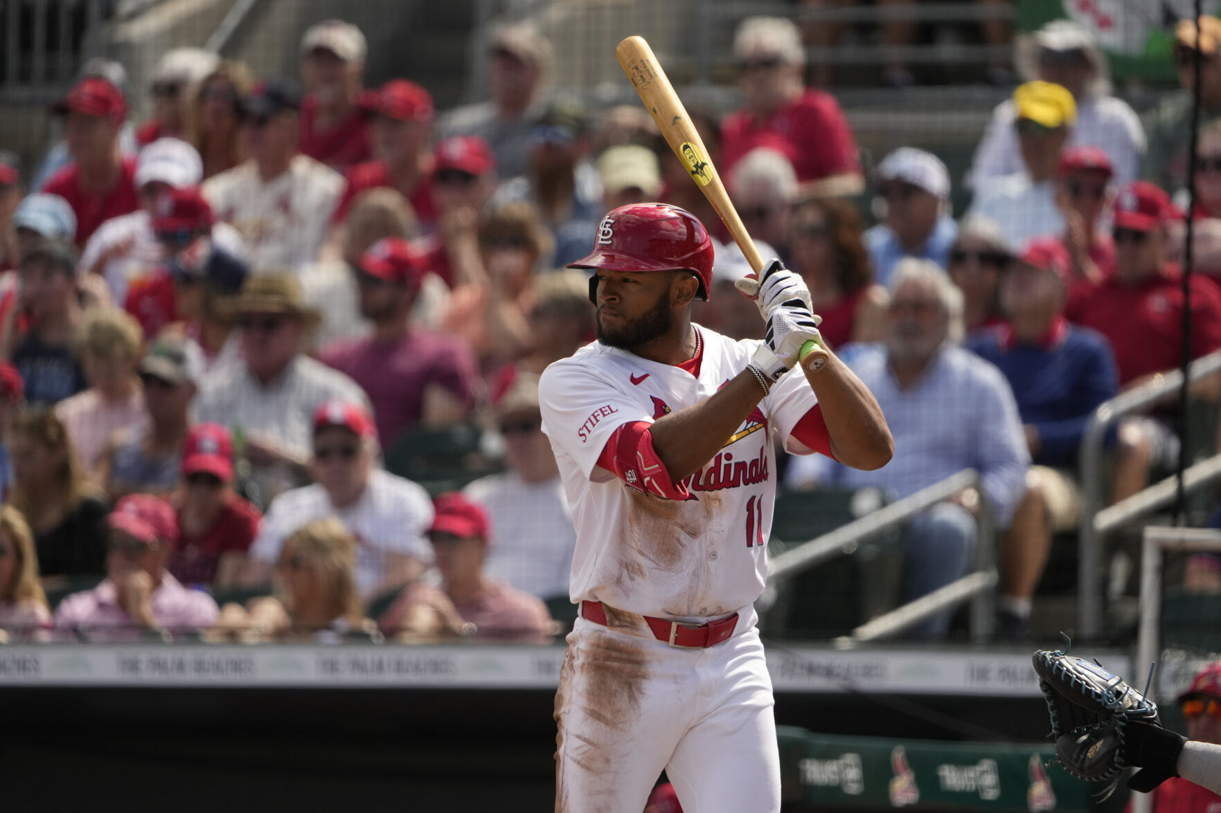 Astros Cardinals Spring Baseball
